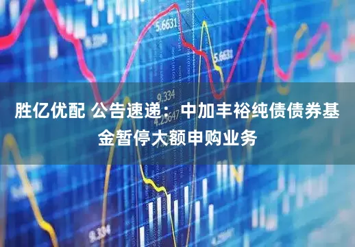 胜亿优配 公告速递：中加丰裕纯债债券基金暂停大额申购业务
