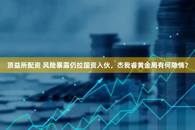 顶益所配资 风险暴露仍拉国资入伙，杰我睿黄金局有何隐情？